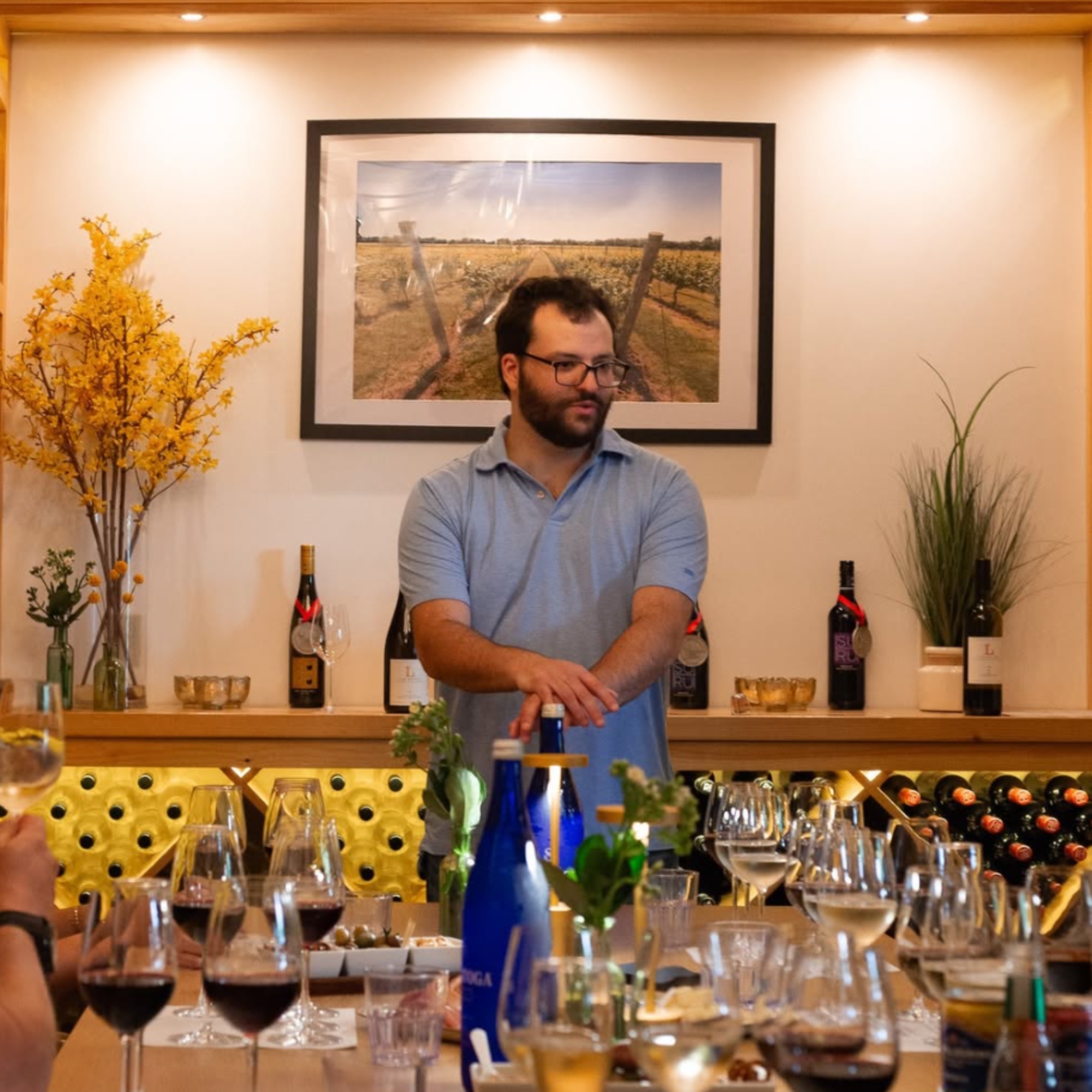 Private wine tasting at home